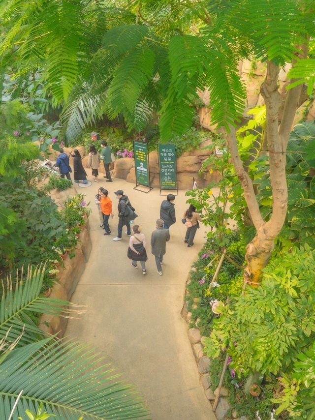 비 오는 날 즐기기 좋은 실내데이트, 서울식물원🌿