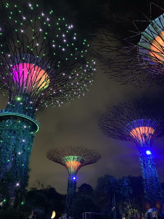 Supertree Garden by the bay