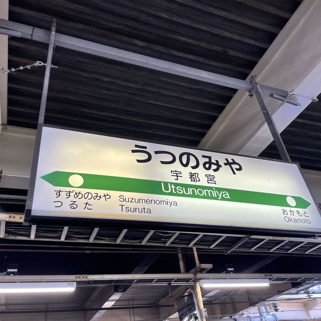 【来らっせ】宇都宮中の餃子が集まるお店