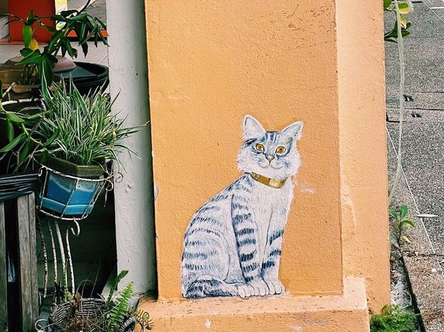 📷  Street art เมืองสตูล (อ.เมือง)​