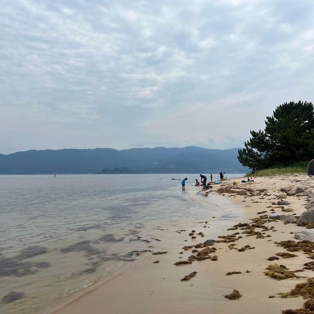水清沙幼⏭️水島｜日本福井縣