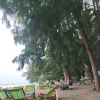สวนสนประดิพัทธ์ หัวหิน