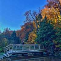 Perfect fall reflection on Profile Lake