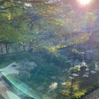 永観堂【メイン観光地よりも落ち着いた雰囲気】