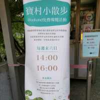 文創藝術家的聚落「寶藏巖國際藝術村」……一起來尋寶