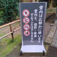 岩手県！紅葉と世界遺産【平泉】中尊寺金色堂