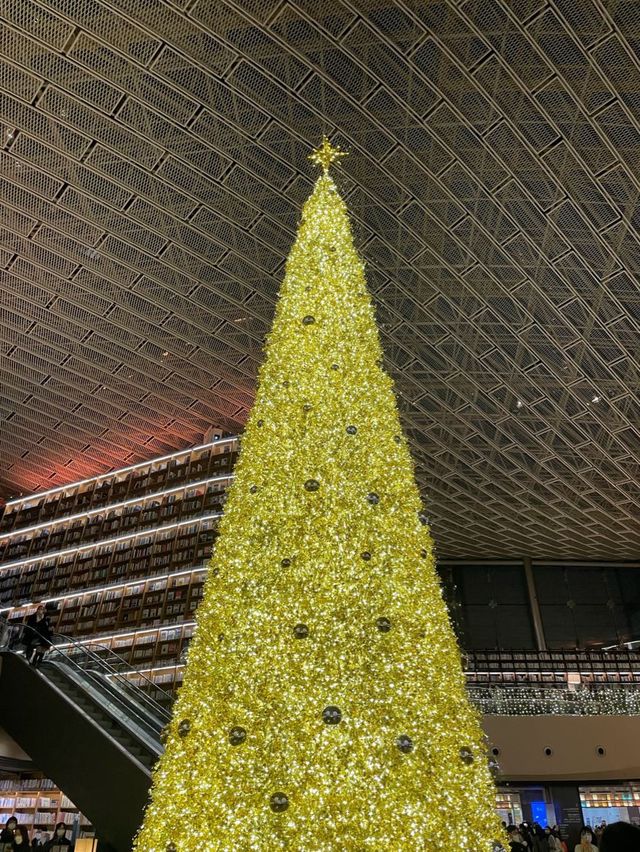코엑스 별마당도서관 크리스마스🎄