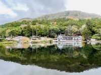 金鱗湖〜大分•湯布院
