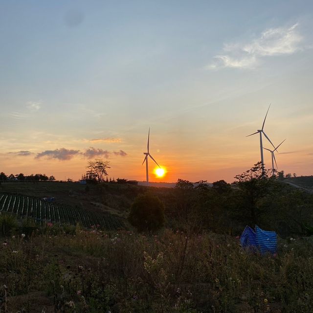 ลมหนาวมาเยือน