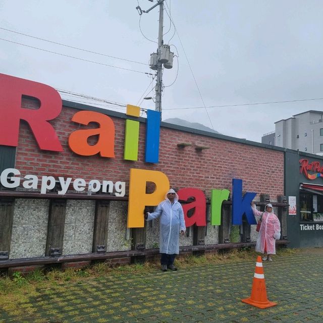 Experience the Rail Bike in Gapyeong ✨️