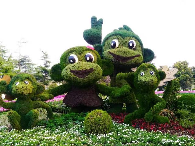 Shanghai Flower Port - Tulip Festival 