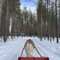 A Magical Day at Santa Claus Village