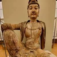 Spectacular collections of Cambridge Museum 