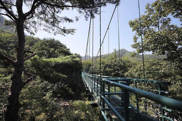 영덕 가볼만한곳 산성계곡공원 어드벤처 
