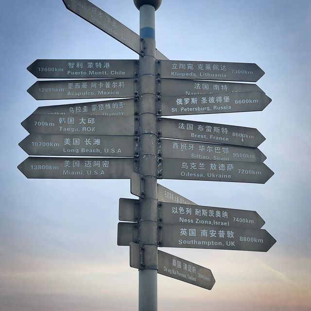 Always take the scenic route of Qingdao 🌊