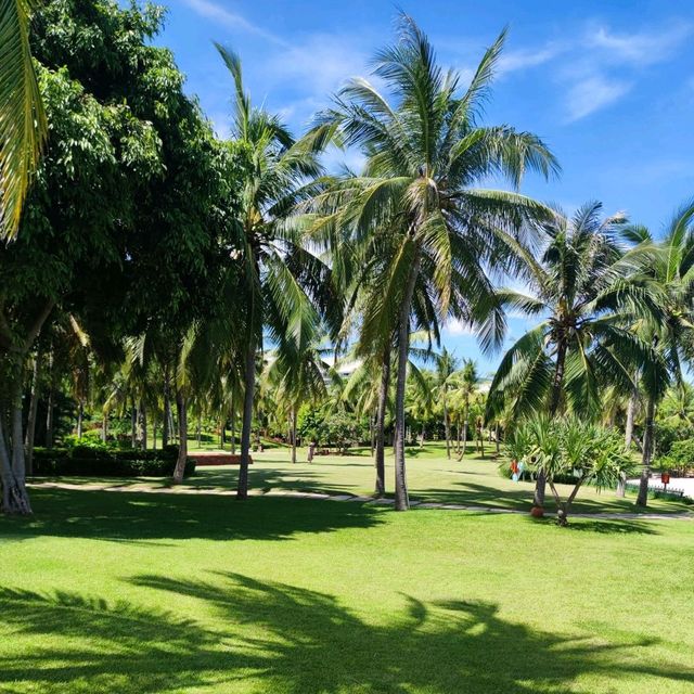 Sheraton Sanya Yalong Bay 🥥🌴☀️