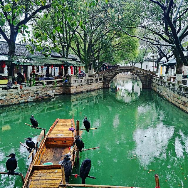 Tongli 🇨🇳 Suzhou 