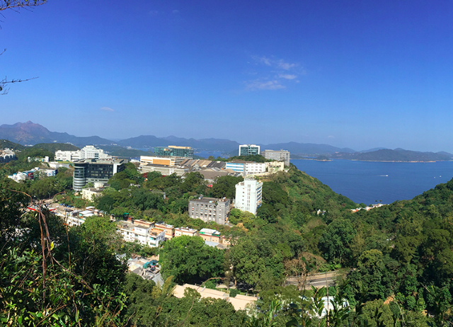 西貢鷓鴣山鴨仔山賞靚景