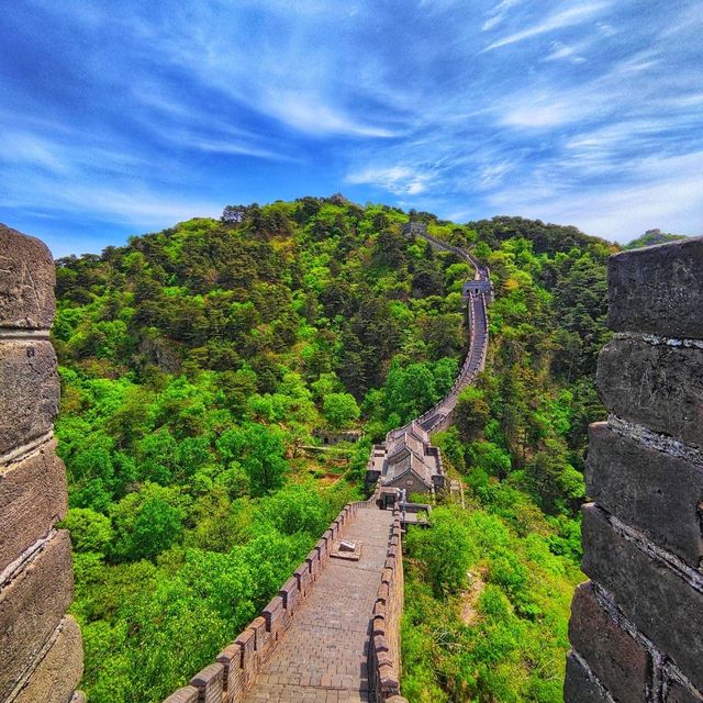 The Great Wall of China 🏯🇨🇳  The Great Wall of China 🏯🇨🇳