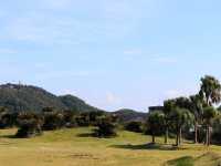 日本九州都井岬
