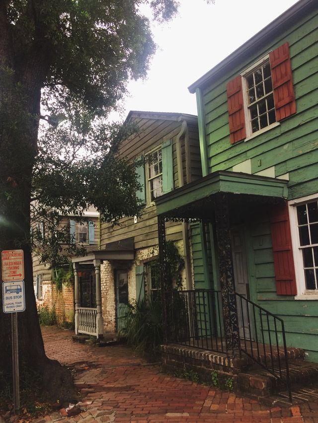 Savannah, Georgia, USA 🇺🇸✈️🌍