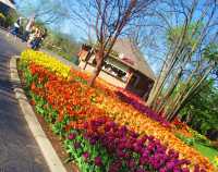 Colorful Tulip Garden and Zoo