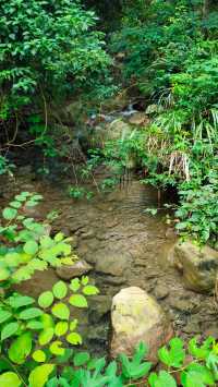 Hidden in the suburbs of Hangzhou, there is a "Little Tianzhu" that not only attracts many celebrities to check in, but also seems like a fairyland.