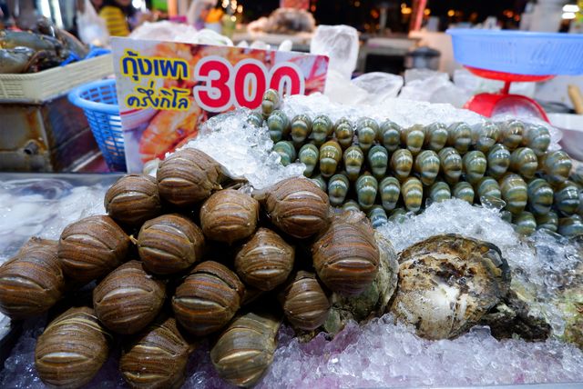 Udon Thani | A treasure trove in northeastern Thailand worth exploring in depth.