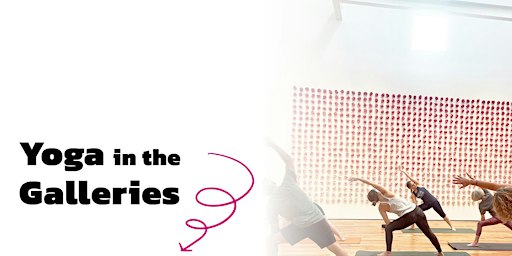 Yoga In The Galleries | Sarasota Art Museum