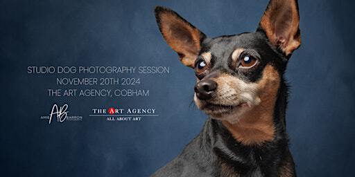 Studio Dog Photography Session at The Art Agency, Cobham | 5 Oakdene Parade