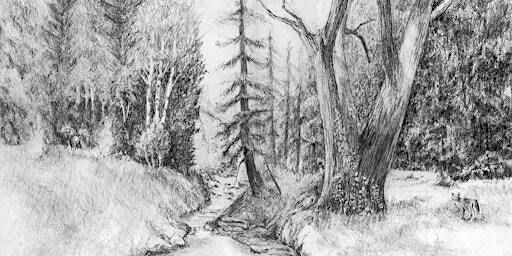 Introduction to Drawing for Adults - 4 week class | Jester Artspace