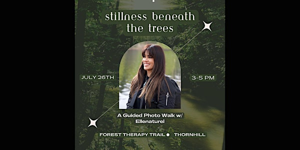 Stillness Beneath The Trees -  A Guided Photowalk With Ellenaturel | Forest Therapy Trail parking