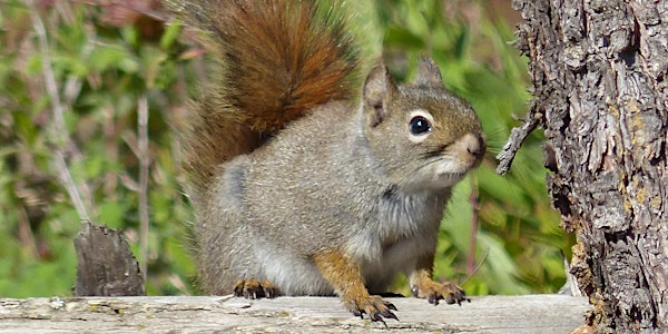 Gearing up for Winter: NID Camp | Buck Creek Canfor Hatchery & Nature Centre, Houston, BC