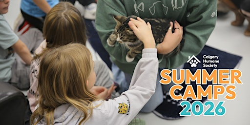 CHS Summer Camp: Fantastic Felines (Grade 1-3) - August 4th - 7th | Calgary Humane Society