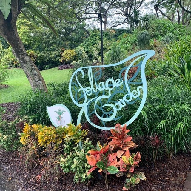 Botanic Garden Singapore 