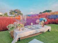 Memory House Cafe สามพราน