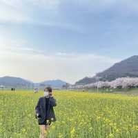 양산 ‘황산문화체육공원’