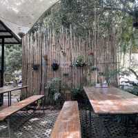 Elefin Farm & Cafe เอเลฟิน ฟาร์ม แอนด์ คาเฟ่