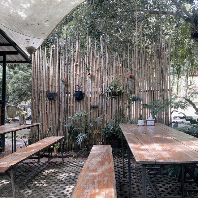 Elefin Farm & Cafe เอเลฟิน ฟาร์ม แอนด์ คาเฟ่