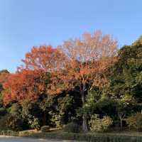 皇居外苑&東御苑