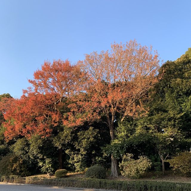 皇居外苑&東御苑