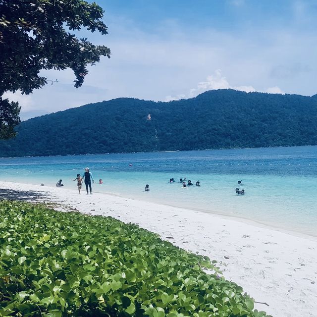เกาะราวี