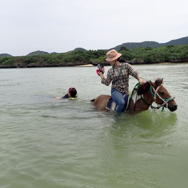 【沖縄･石垣島】海で乗馬が楽しめる‼️