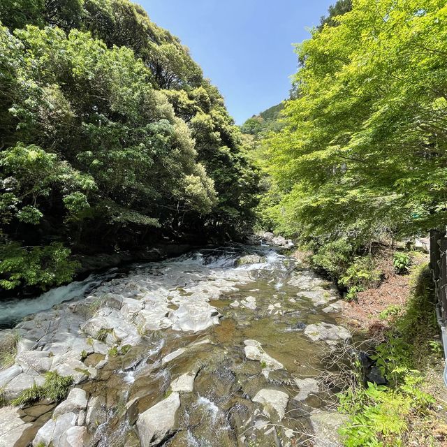 【静岡】マイナスイオンたっぷりの「河津七滝」