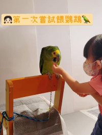 寵物嘉年華：與小動物近距離接觸互動
