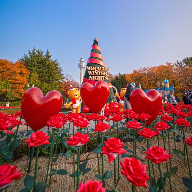 대구 이월드 & 83타워