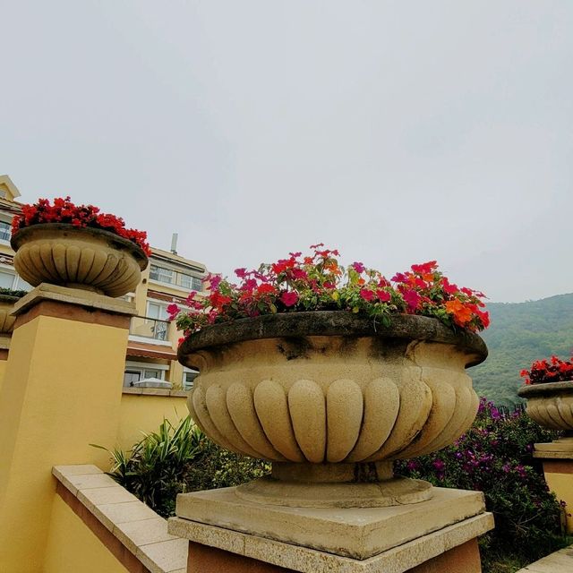 賞花好去處 ～ 愉景灣 