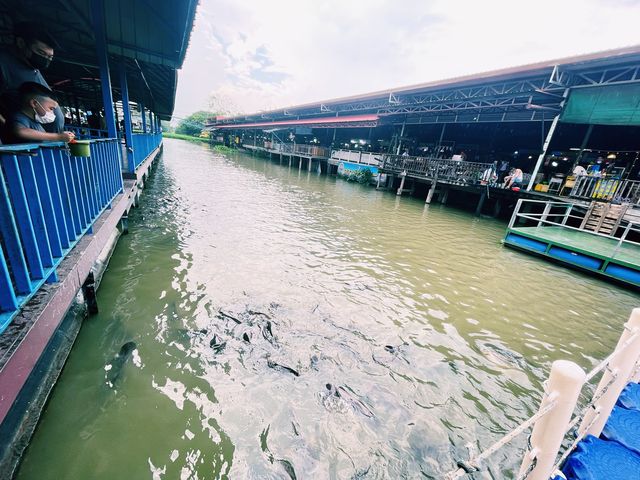 เที่ยววัดไทรใหญ่เลาะตลาดน้ำไทรน้อย ใกล้บ้านใหม่😌