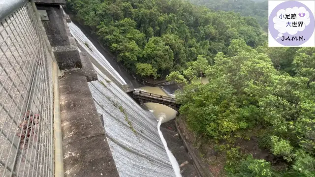 雨中漫步，水塘滿溢非常澎湃❗️