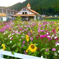 フォトジェニックな花畑　洲原ひまわりの里